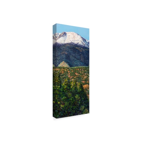 James W. Johnson 'Pikes Peak In Summer' Canvas Art,8x19